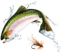 Fly Fishing on the Pere Marqette River